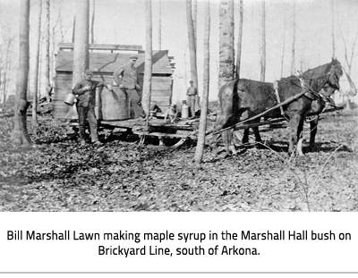 (Black and white image of people in the bush with a horse drawn sled and big metal containers. Image Caption: "Bill Marshall Lawn making maple syrup in the Marshall Hall bush on Brickyard Line, south of Arkona."), link.