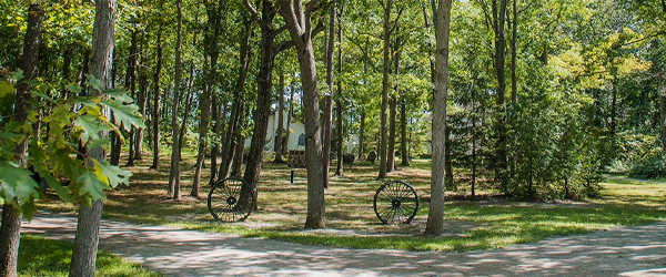 The forested area and historical buildings behind the museum.