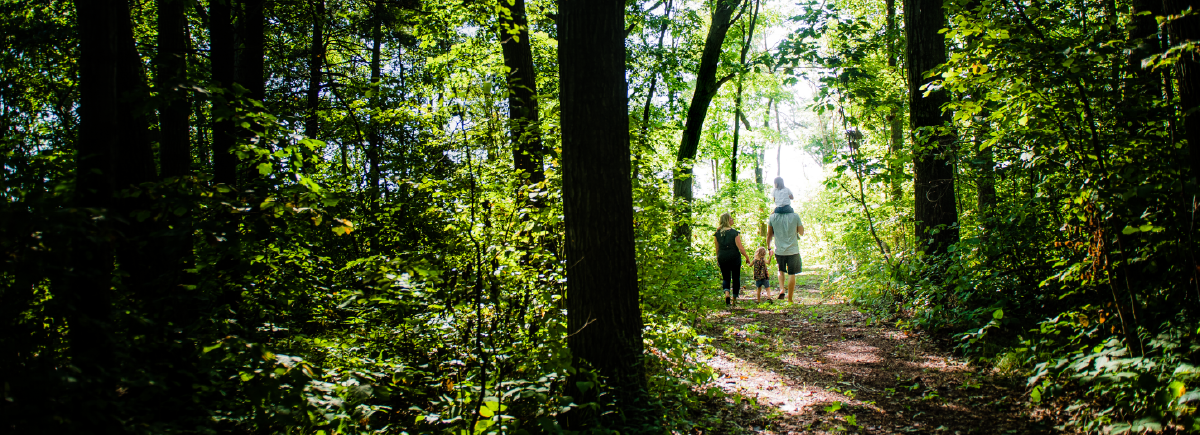 Family walking through trail in forest.