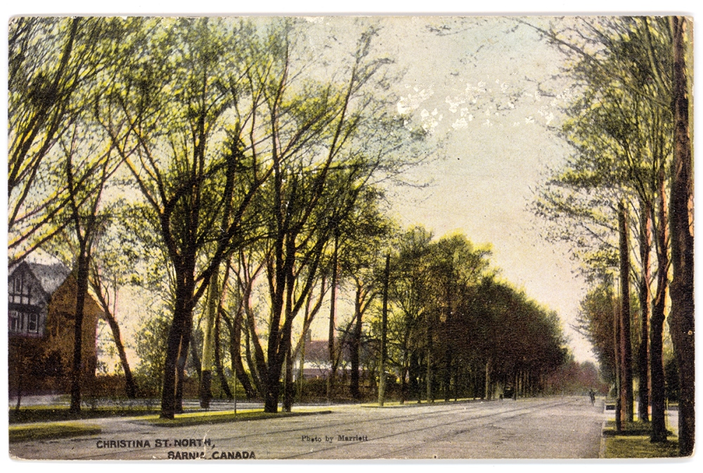 Image of a road with trees on the side.