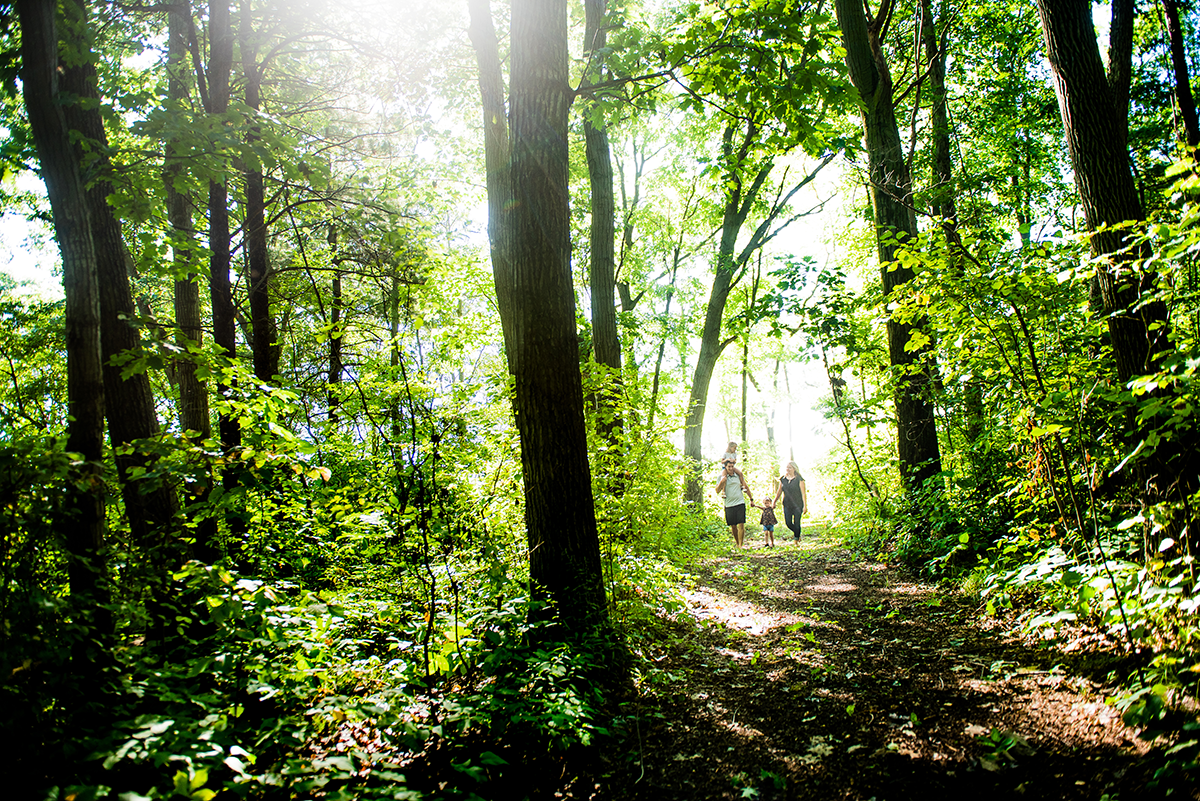 Two adults and a child walking on a trail through a bush.