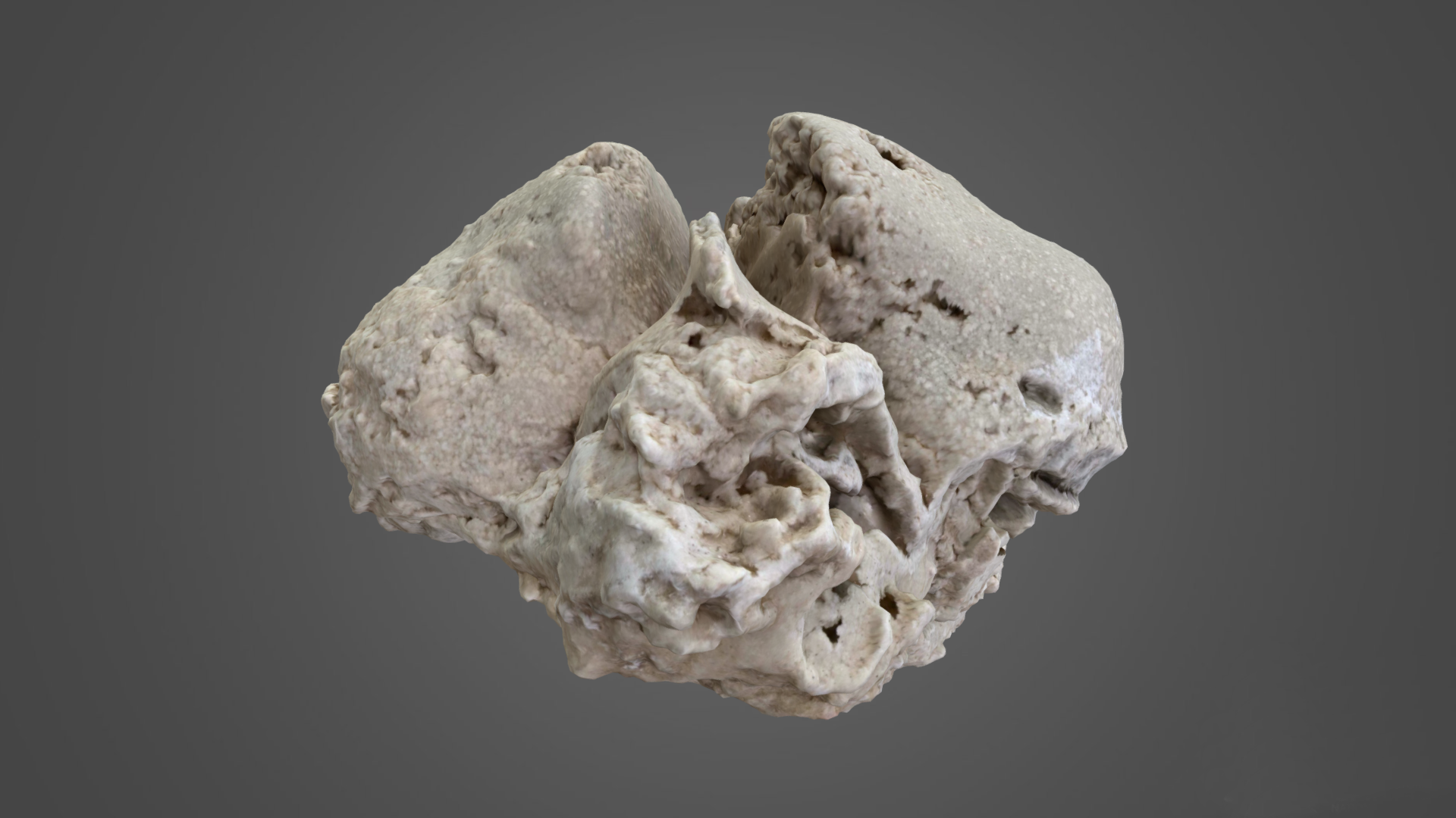 3D Scan of a Bivalve Cast Fossil