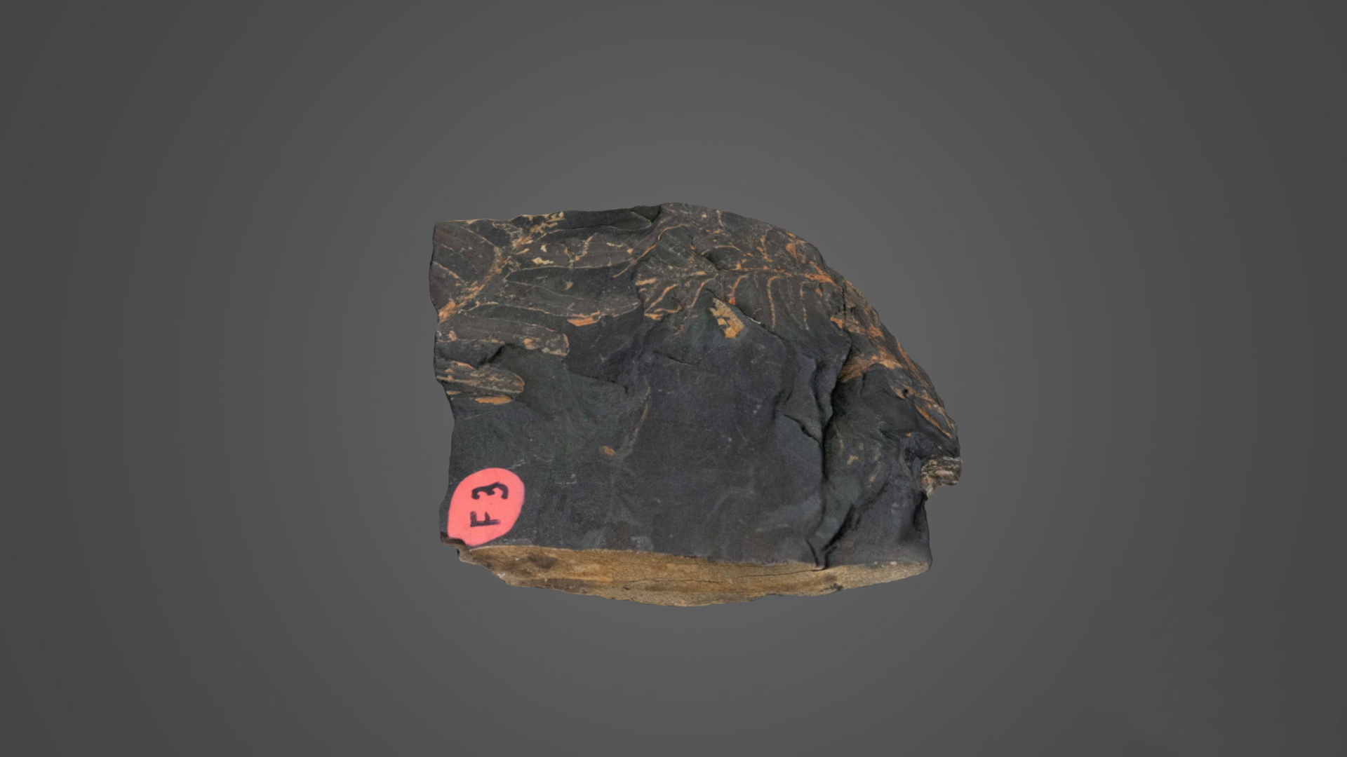 3D Scan of a Carbon Film Impression