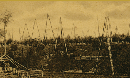 Old photo of an oil field.