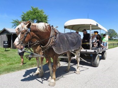 Two horses pulling an open wagon with people sitting on it.