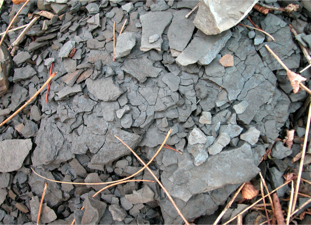 An image of flat grey shale rock provided by Craigleith Heritage Depot.