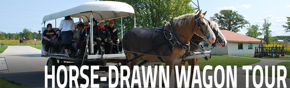 horse-drawn wagon tour - link