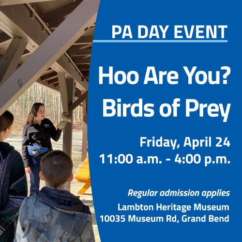 PA Day: Hoo Are You? Birds of Prey