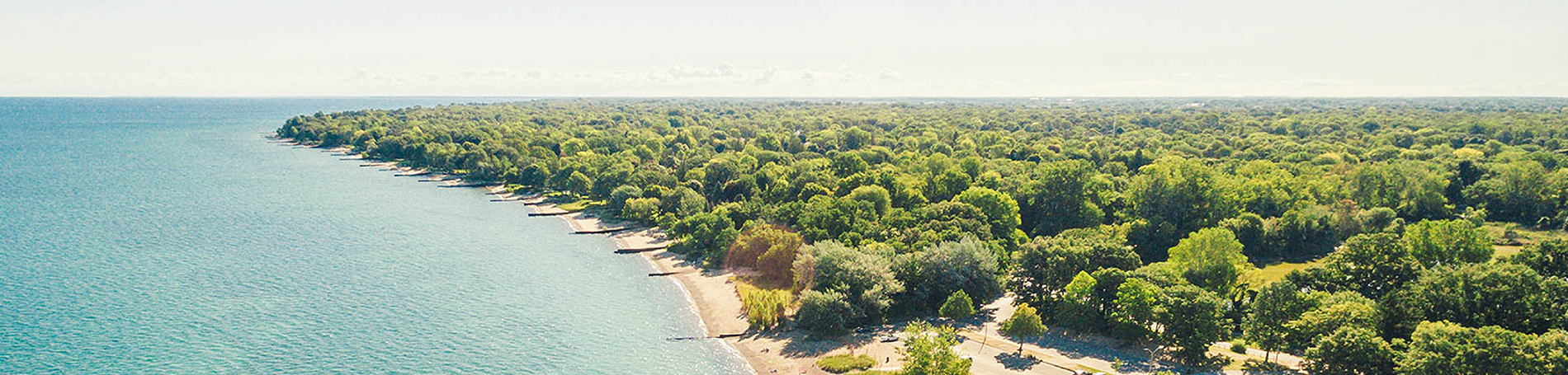Ariel view of a lake and land with trees.