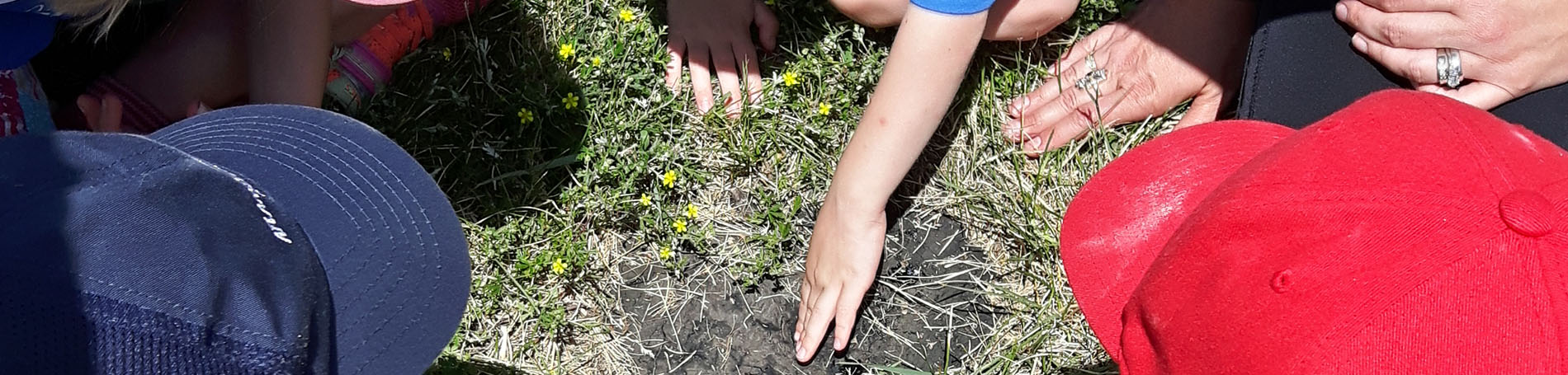 Children experience the natural gum bed at the Oil Museum of Canada