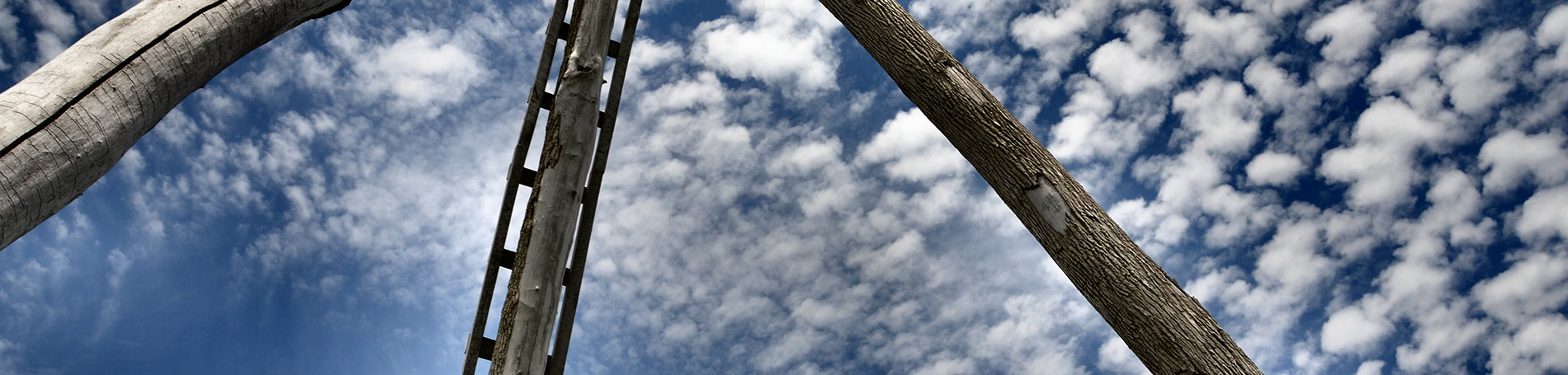 View of oil derrick