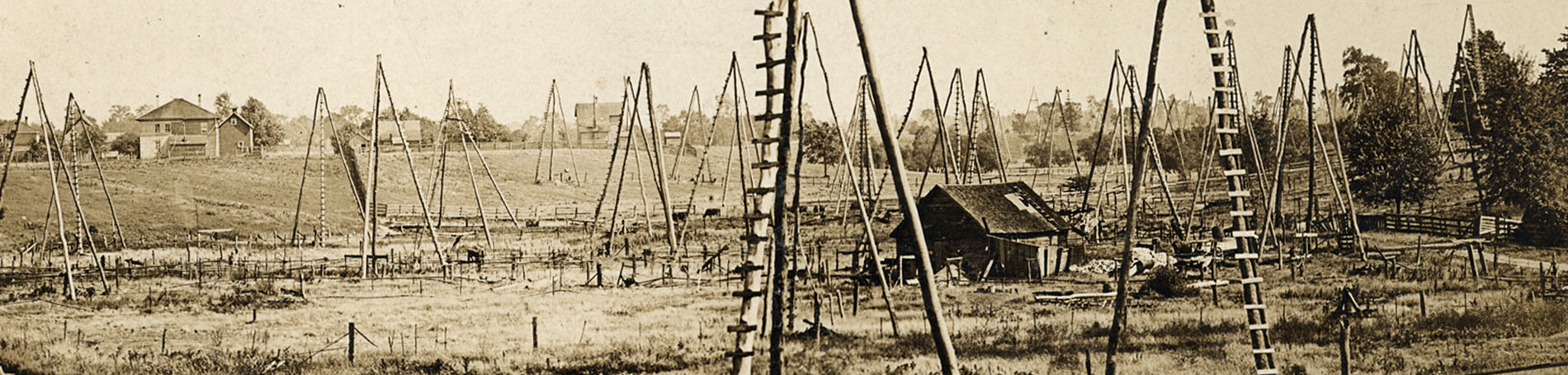 Historic view of oil fields in Oil Springs