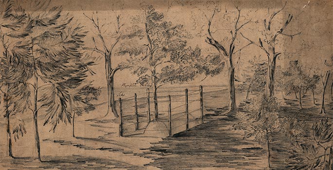 Drawing of trees, road and fence.