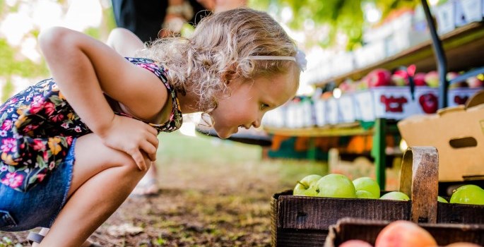 Child leaning towards fruit basket.